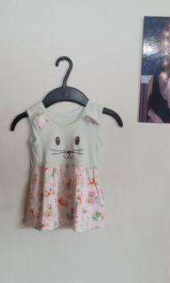 Dres cat