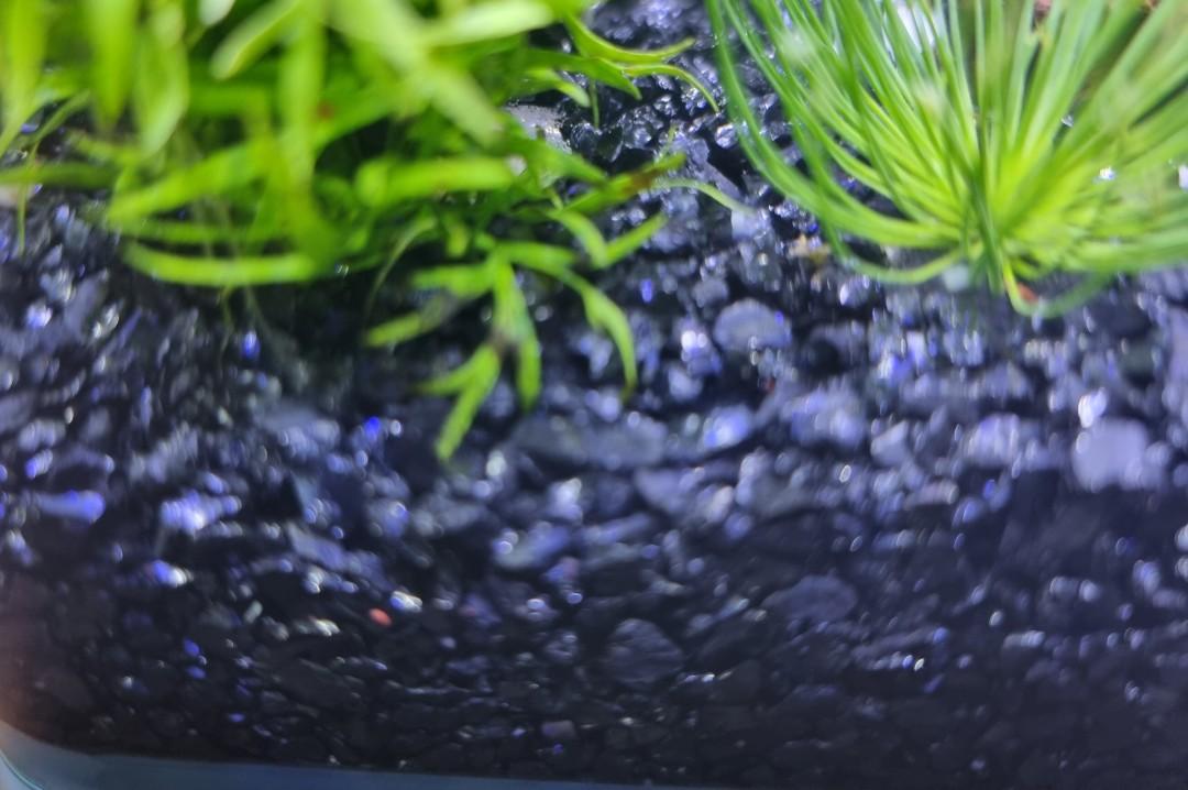 Gravel Black Beautiful Crystal Aquarium Premium, Pet Supplies, Homes