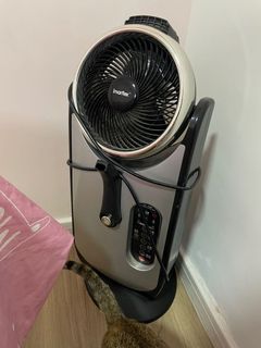 （分類：）位於 。 由 lovecat_kitty 提交（商品編號 1143382881，圖片 1）。簡介： 。