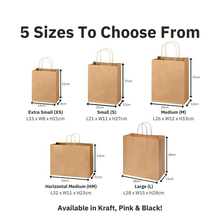 Kraft Paper Bag Party Bag Gift Bag Shopping Bag Retail Bag 5 Sizes XS S M HM L Packs of 10 Ready Stock
