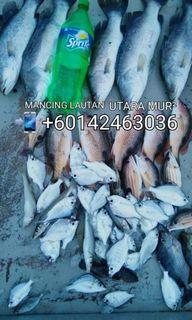 MANCING LAUTAN UTARA MUR² | #KOMPLOT30
