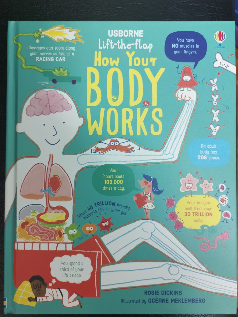 USBORNE BOOK How your body works, Hobbies & Toys, Books & Magazines, Children's Books on Carousell