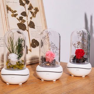 (Category: ) located in . Submitted by msbossmart (Listing ID 1143391036, Image 1). Description: .