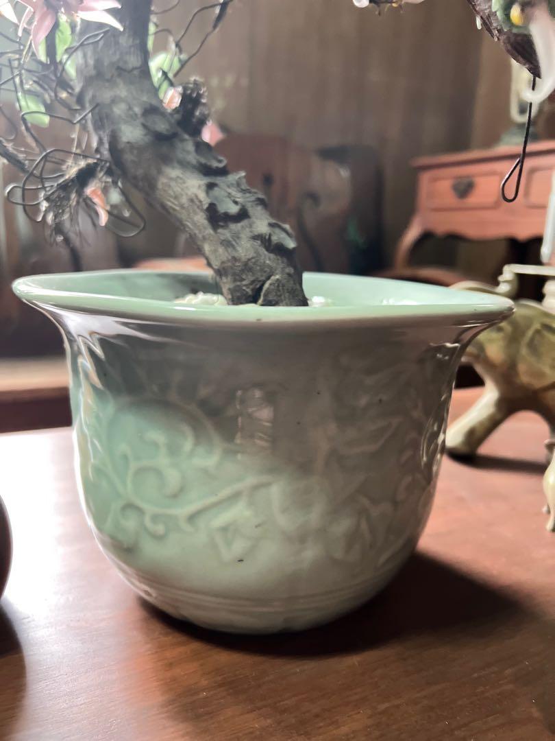 Vintage Jade Tree in Celadon Pot, Hobbies & Toys, Memorabilia