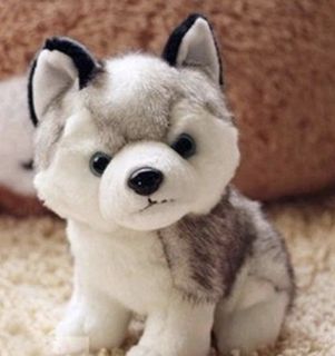 (Category: ) located in . Submitted by All_Things_Cute (Listing ID 1143642175, Image 1). Description: .