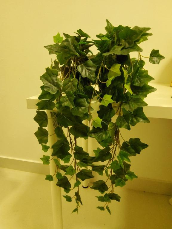 2 x Ikea FEJKA artificial ivy plants, Furniture & Home Living, Home
