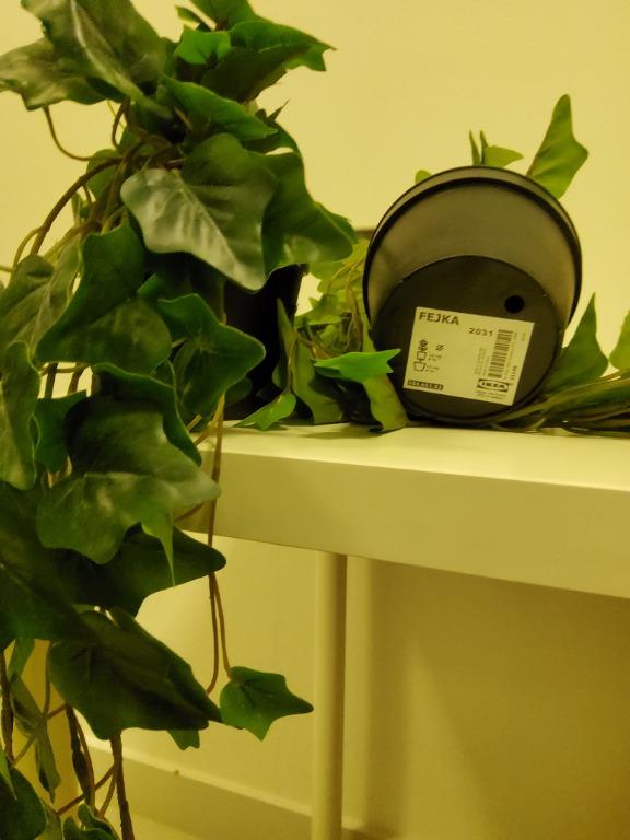 2 x Ikea FEJKA artificial ivy plants, Furniture & Home Living, Home