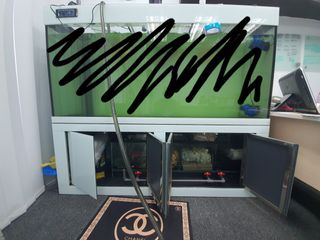 (Category: ) located in . Submitted by sangdazzler (Listing ID 1143600038, Image 1). Description: .