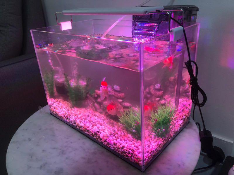 AQUARIUM INSTALLATION, Pet Supplies, Homes & Other Pet Accessories on