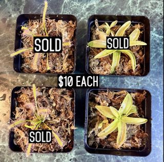 (Category: ) located in . Submitted by ohmyjasmne (Listing ID 1137985395, Image 1). Description: .
