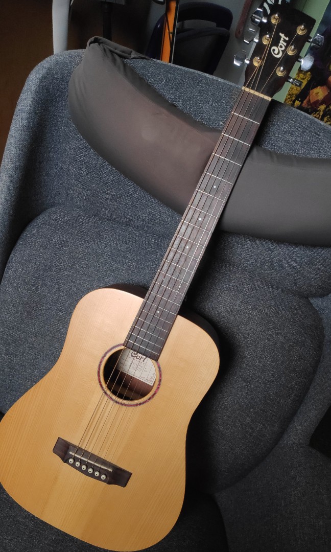 Cort earth hotsell mini f adirondack