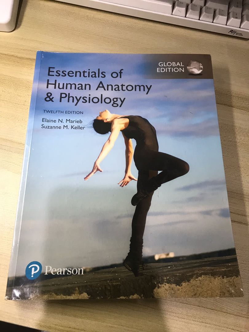 Essentials of Human Anatomy & Physiology pearson, Hobbies & Toys, Books ...