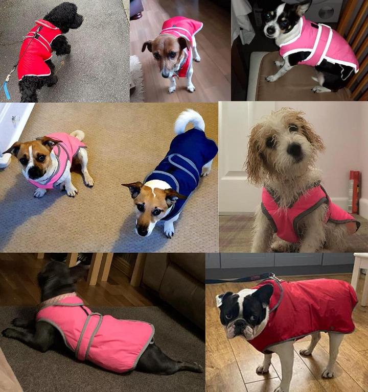 Kismaple dog harness new arrivals