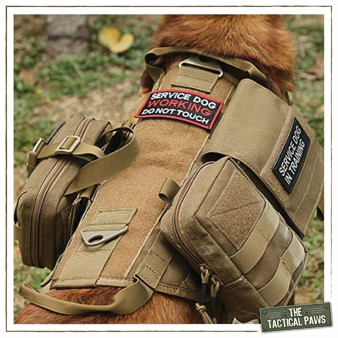 Spanker 戰術胸帶(土狼系列) Spanker Tactical Harness (Hyenas Series