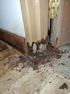 (Category: ) located in . Submitted by ij_home_maintenance (Listing ID 1143687458, Image 1). Description: .