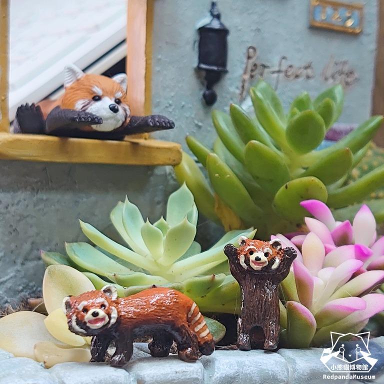 Everday S Mini Naughty Mascot 小熊貓威嚇擺件盤景迷你微縮小熊貓redpanda 動物 興趣及遊戲 玩具 遊戲類 Carousell