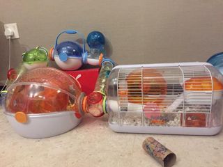 (Category: ) located in . Submitted by jesc99ae (Listing ID 1143700343, Image 1). Description: .