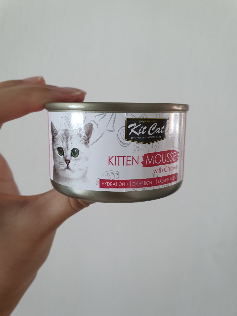 Kit Cat kitten Mousse with Chicken, Pet Supplies, Pet Food on Carousell