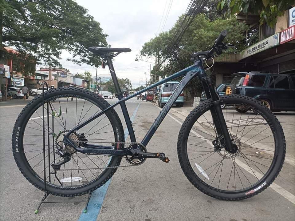 Mountain peak storm 29er hotsell