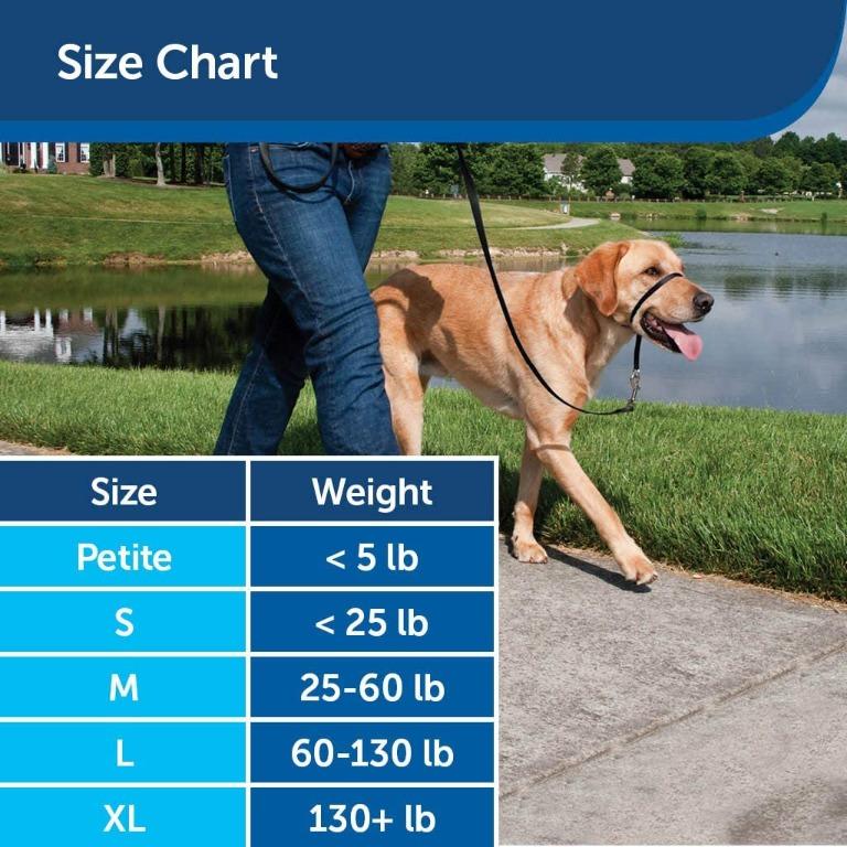 Gentle leader shop size