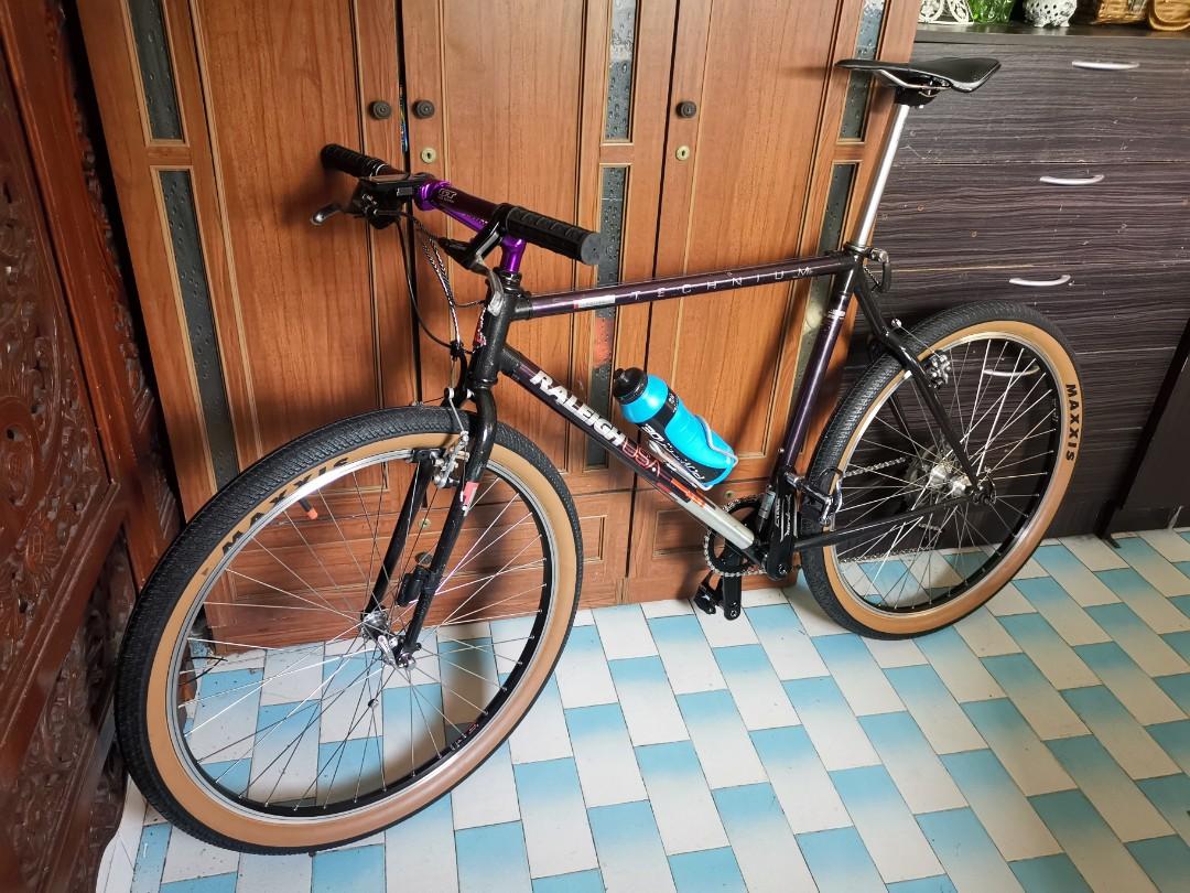 Raleigh mtb vintage top