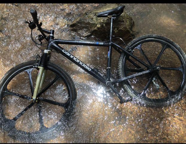 Cannondale police 2025