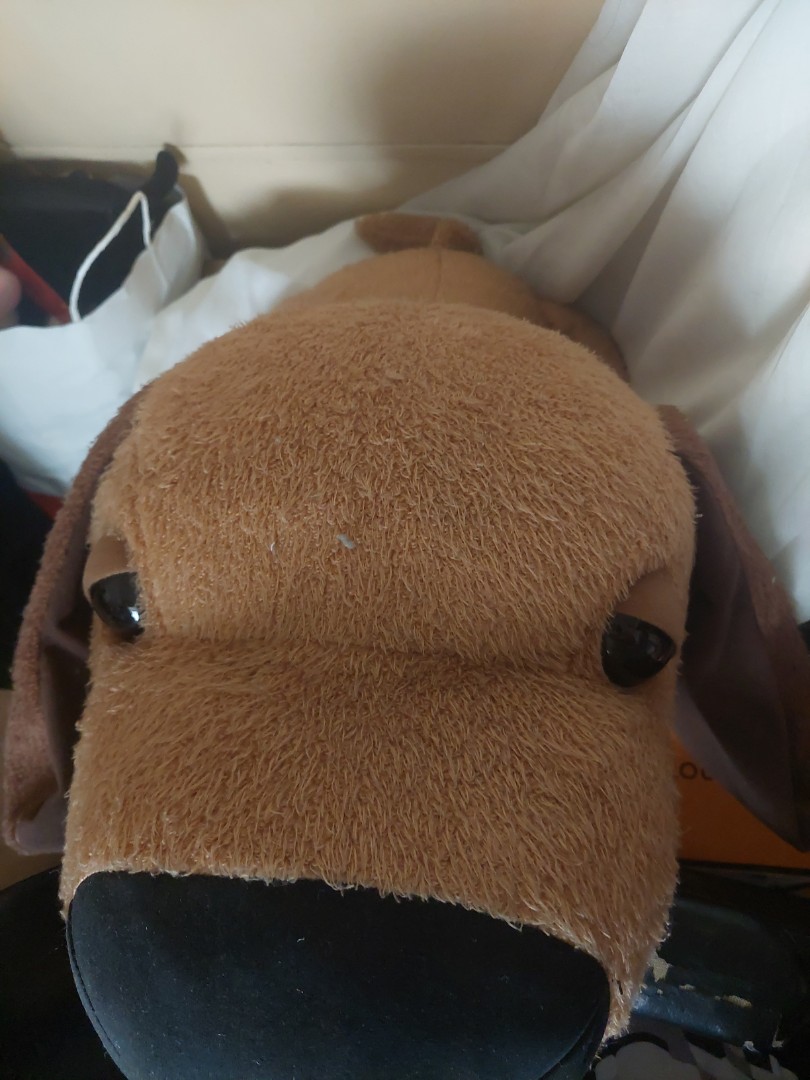 Big head Dog stuffed toy, Hobbies & Toys, Toys & Games on Carousell