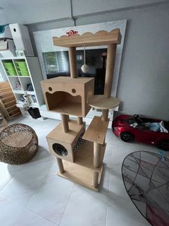 (Category: ) located in . Submitted by woof2day (Listing ID 1143921915, Image 1). Description: .