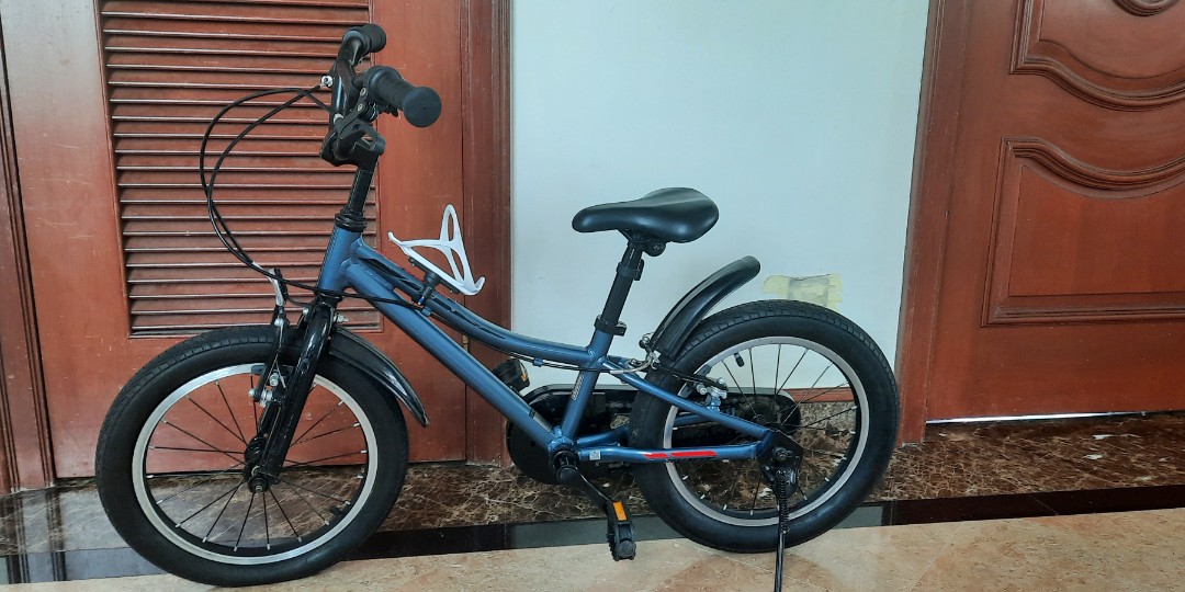 Giant 16 inch bike 2025
