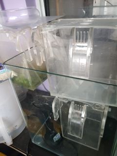 (Category: ) located in . Submitted by reefing (Listing ID 1143897673, Image 1). Description: .