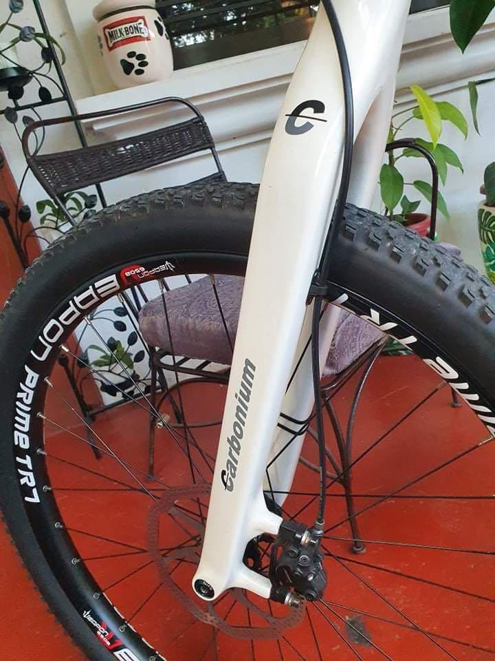 Carbonium store rigid fork