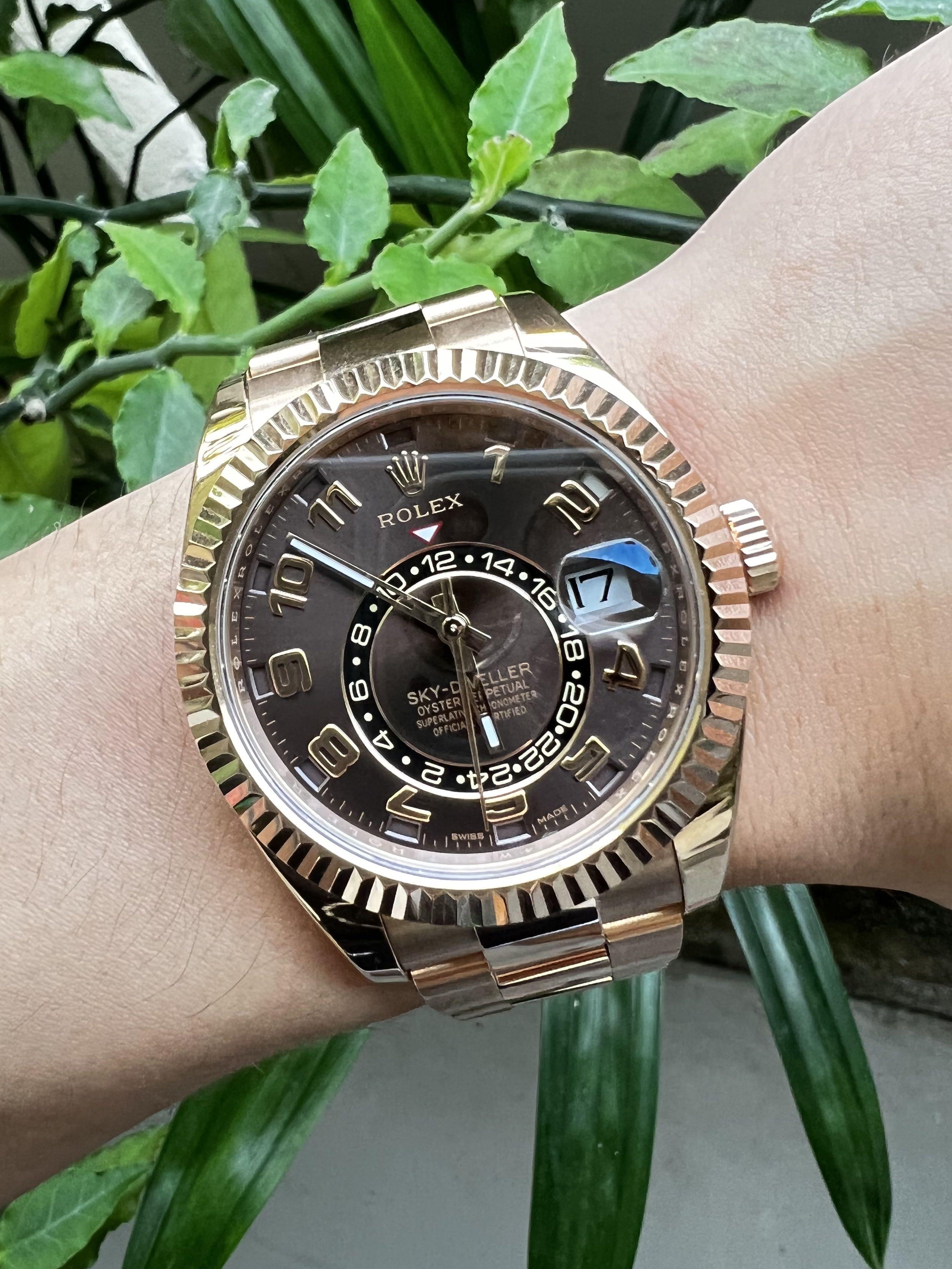Rose gold sky sales dweller chocolate dial