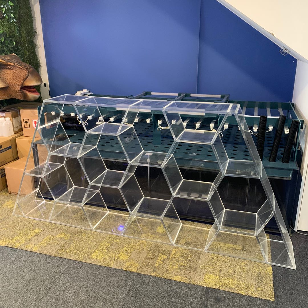 Acrylic Shelf, Furniture & Home Living, Furniture, Shelves