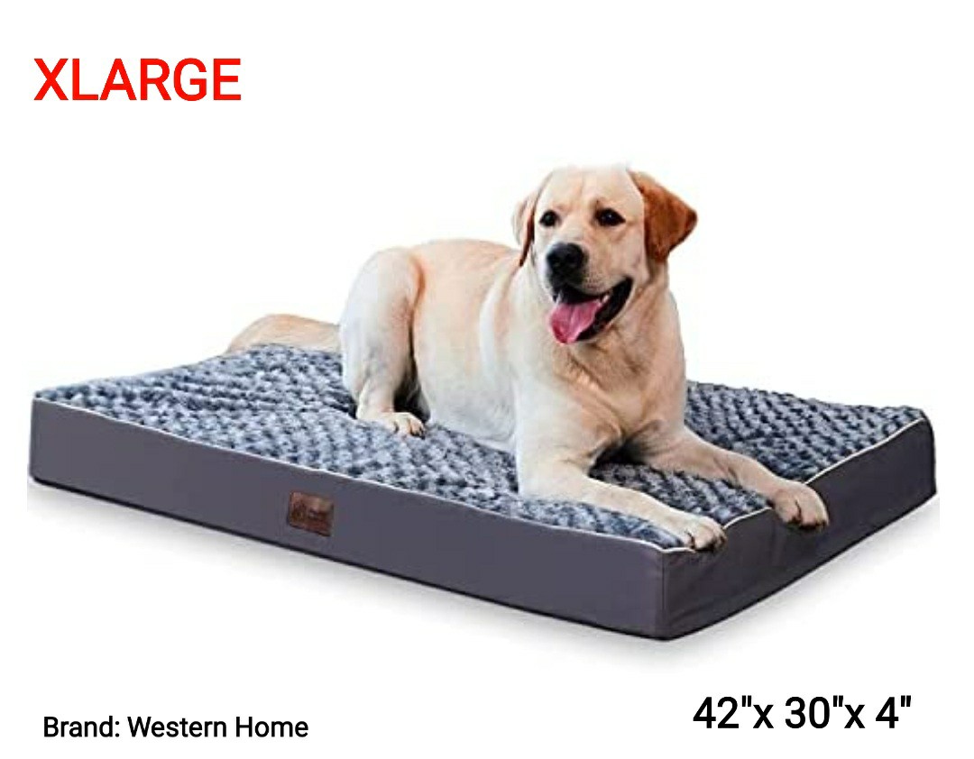 large dog bed size