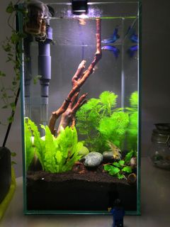 (Category: ) located in . Submitted by graycard (Listing ID 1144099603, Image 1). Description: .