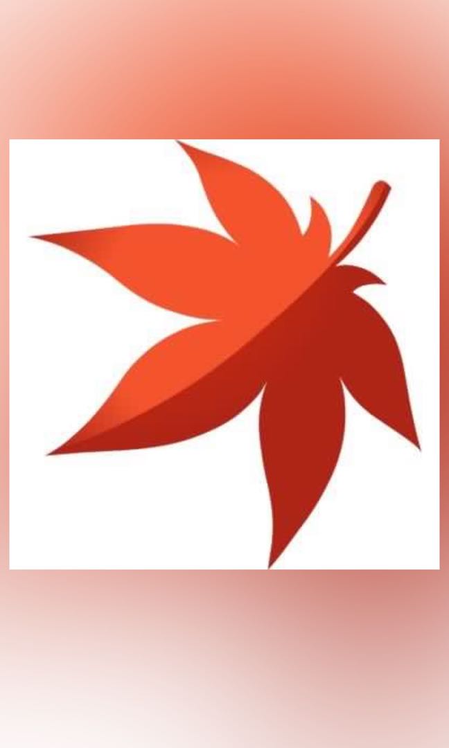 Mapleroyals Godly Wash items, Video Gaming, Video Games, Others on