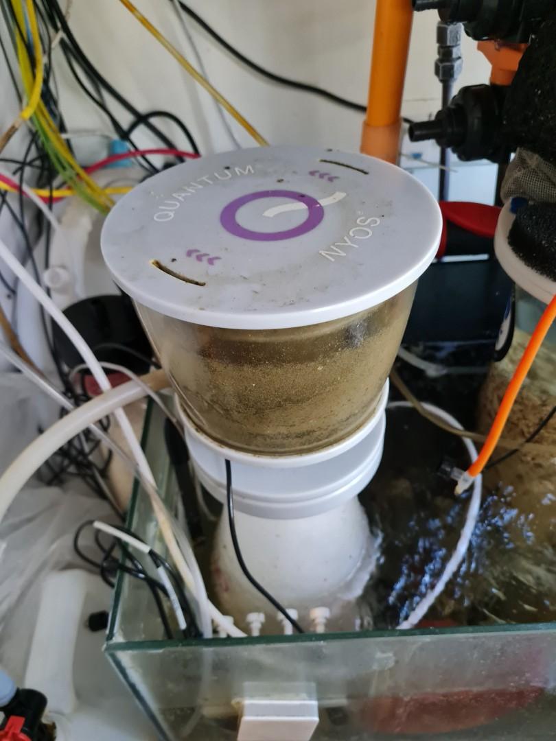 Protein Skimmer Nyos 160, Pet Supplies, Homes & Other Pet Accessories