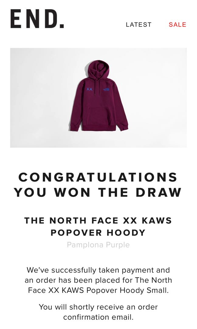 THE NORTH FACE XX KAWS POPOVER HOODY