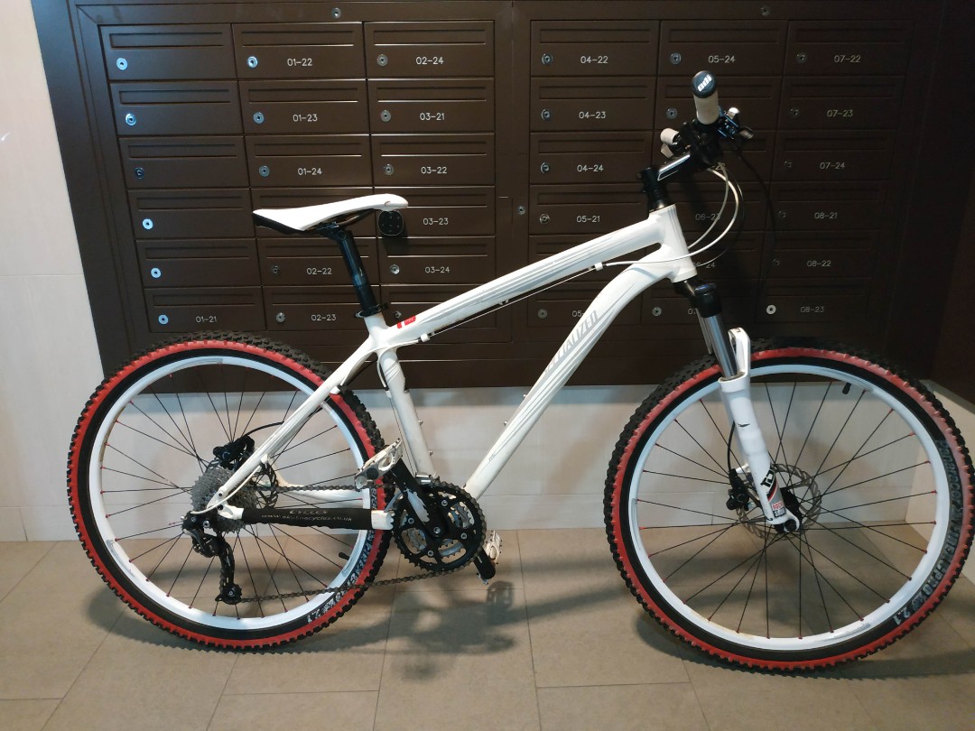 2010 Specialized Rockhopper Comp SL 17inch
