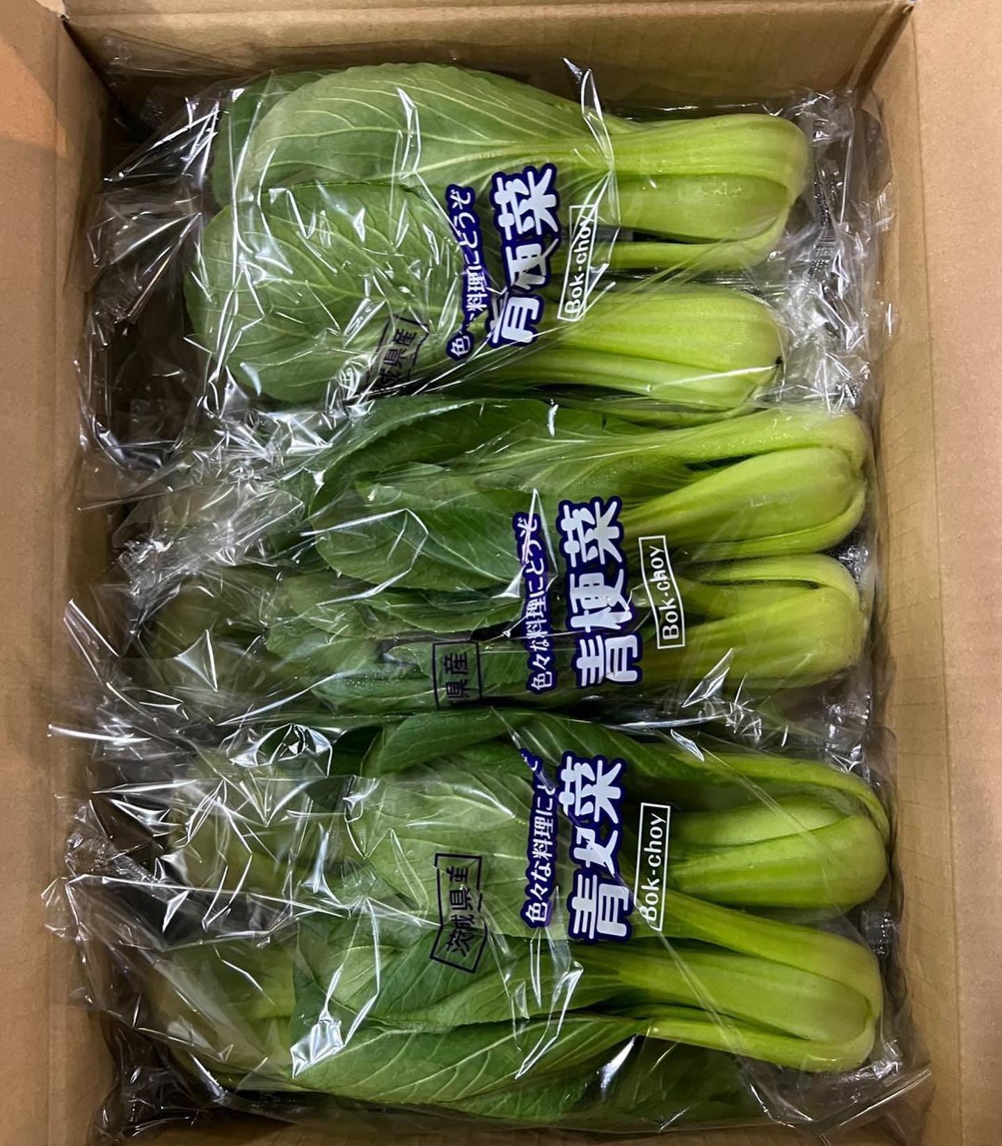 青梗菜400g - 野菜