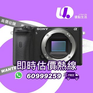 （分類：）位於 。 由 udotlife 提交（商品編號 1144267207，圖片 1）。簡介： 。