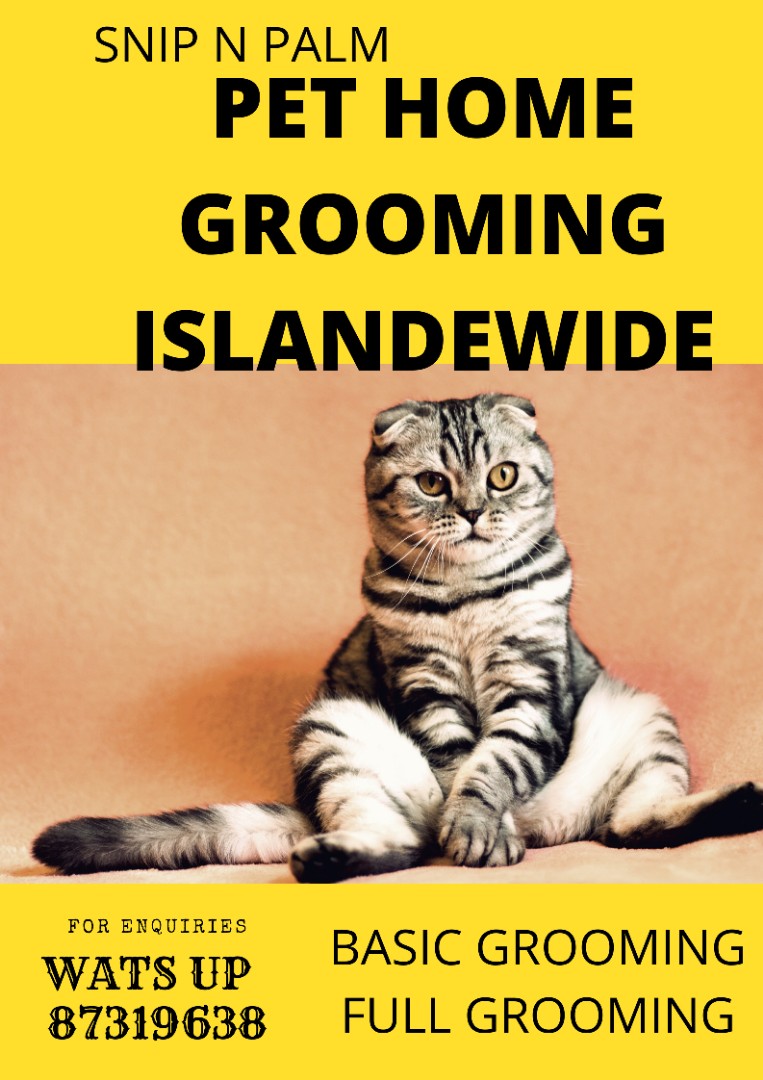 (Category: ) located in . Submitted by snipnpalm (Listing ID 1144356646, Image 1). Description: .