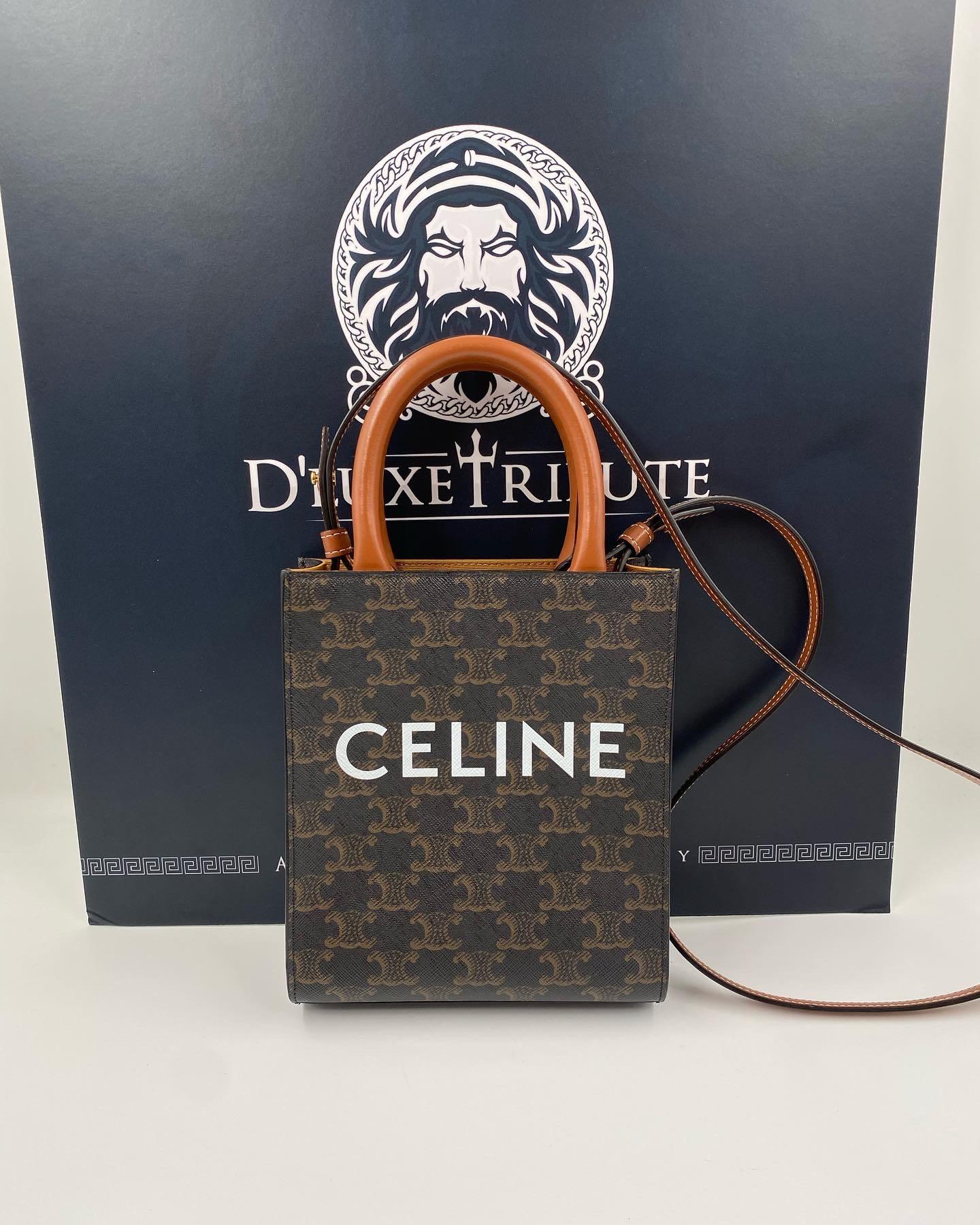 BAG REVIEW: CELINE MINI VERTICAL CABAS (2022 Edition) 