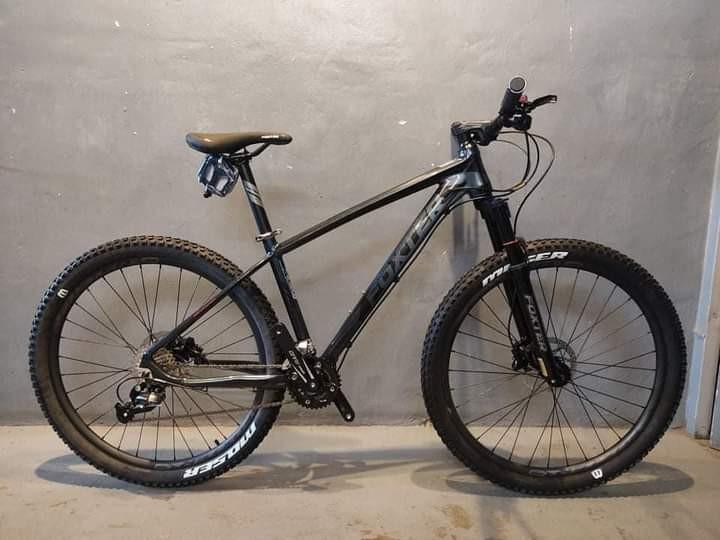 Foxter harvard price 2025