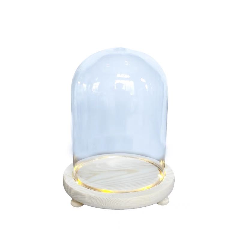 Glass Dome with LED lights, Hobbies & Toys, Stationery & Craft, Flowers