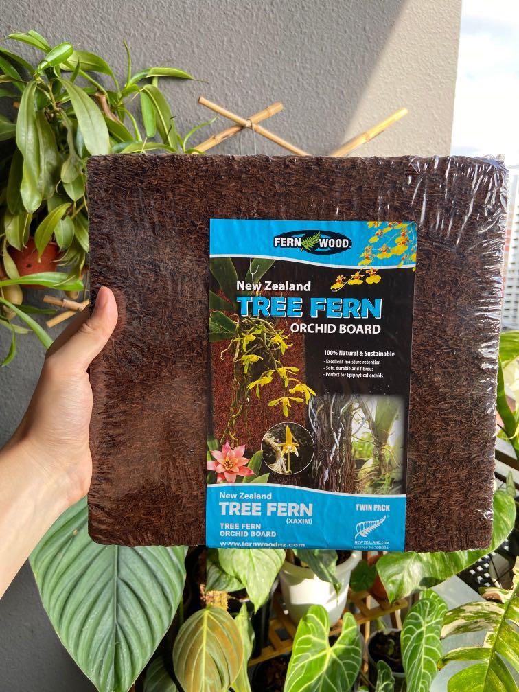 New Fernwood Tree Fern Orchid Board, Furniture & Home Living, Gardening