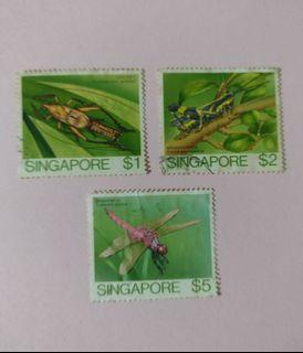 Singapore : Insects ( cricket , grasshopper , dragonfly )