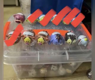 (Category: ) located in . Submitted by jappastel (Listing ID 1141714451, Image 1). Description: .