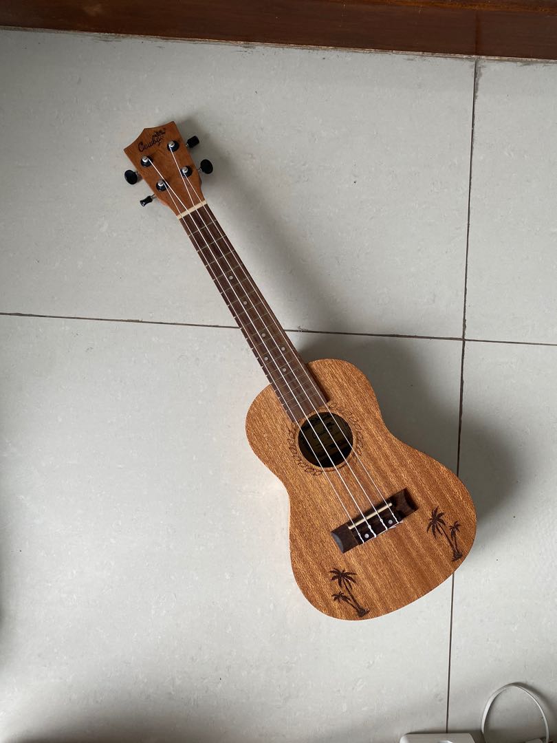 Ukulele cowboy shop concert uk 23