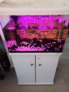 (Category: ) located in . Submitted by gonzalezii (Listing ID 1144561979, Image 1). Description: .
